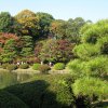 Tokyo_Rikugien_Park_6